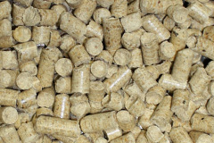 Mustard Hyrn biomass boiler costs