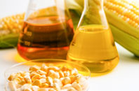 Mustard Hyrn biofuel boiler